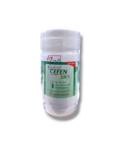 CEFEN 200Y 1000’S (เม็ดรีสีเหลือง)