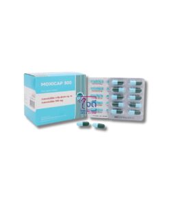 MOXICAP 500 10x10 CAPSULES. (แคปซูลฟ้าเขียว)