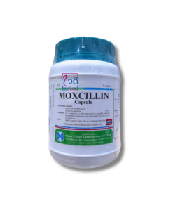 MOXCILLIN 500'S (เขียว-ฟ้า)